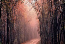 亚博体育APP-关于集结日波士顿凯尔特人备战法国杯，篮板制胜细节曝光，底气十足，轮换策略成焦点的信息-亚博体育APP